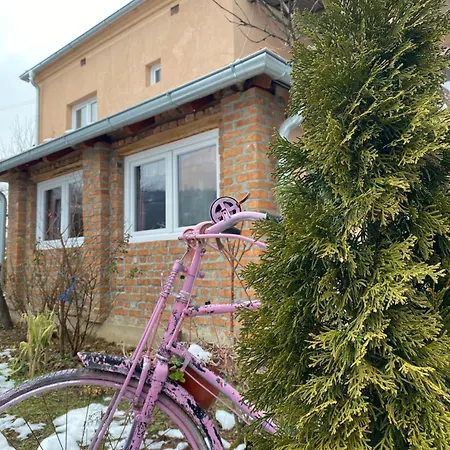 Seosko Turisticko Domacinstvo Stanisic *