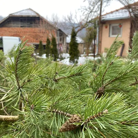 Séjour chez l'habitant Seosko Turisticko Domacinstvo Stanisic